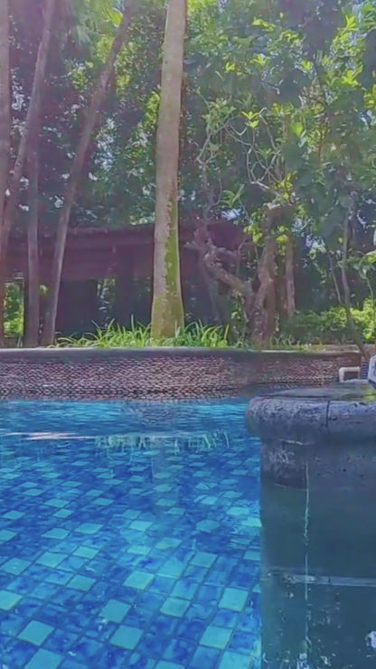 24V Ultra 65W Pool Vacuum with Micro Clean Filter